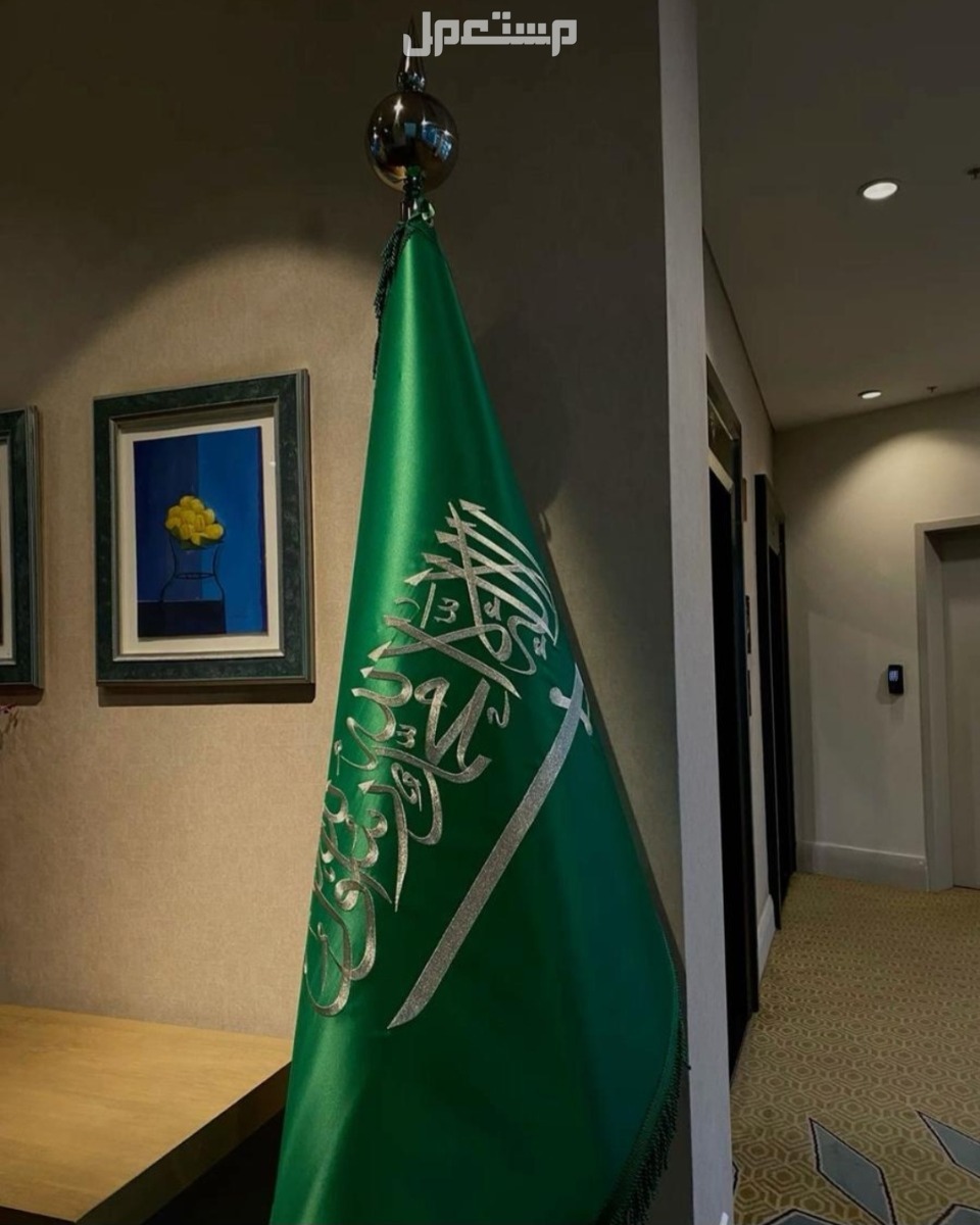علم مكتبي رسمي علم مكتب كبير ستاند علم كبير علم تفصيل خاص قاعدة علم