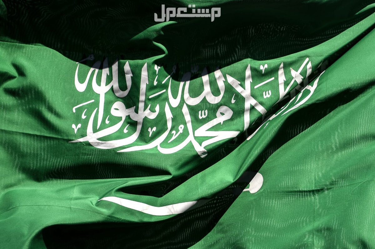 حقيقة عروض البنوك في اليوم الوطني 94 علم المملكة العربية السعودية