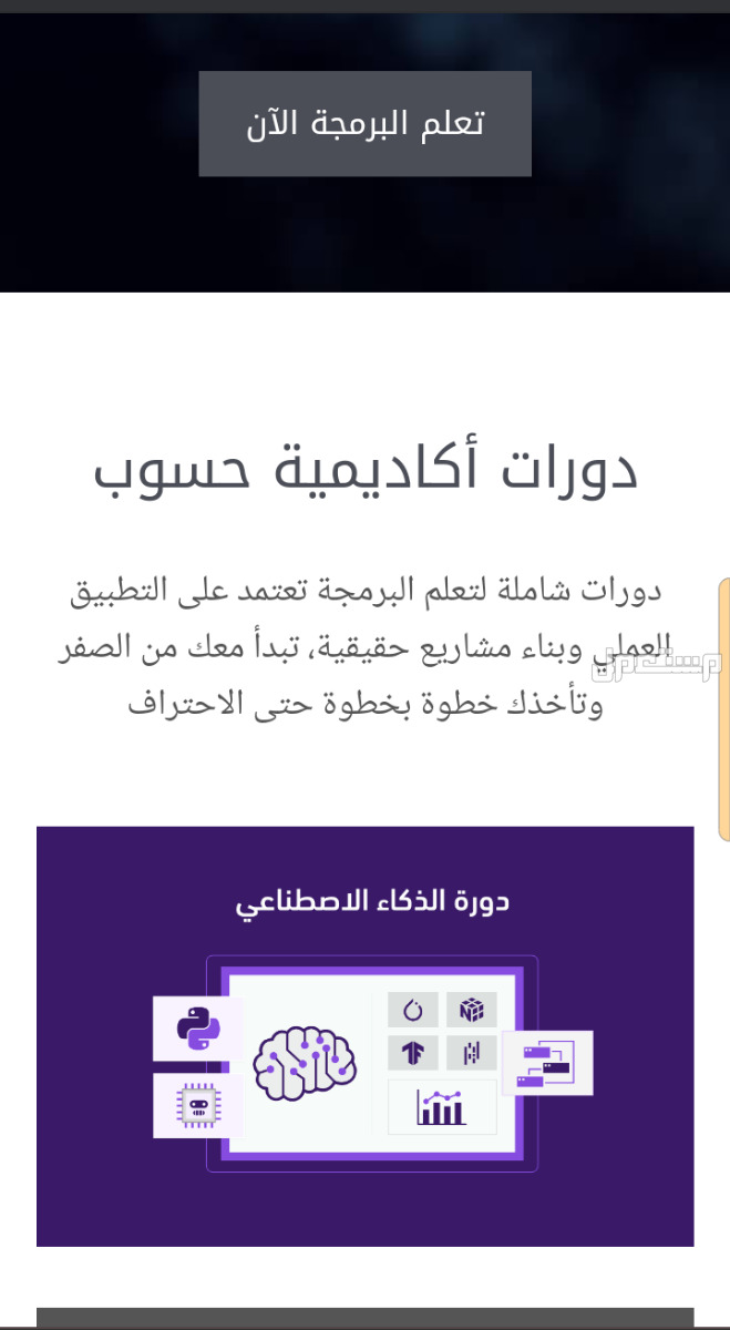 دوره تعلم البرمجه وانشاء متاجر و مواقع بواسطة الذكاء الاصطناعي