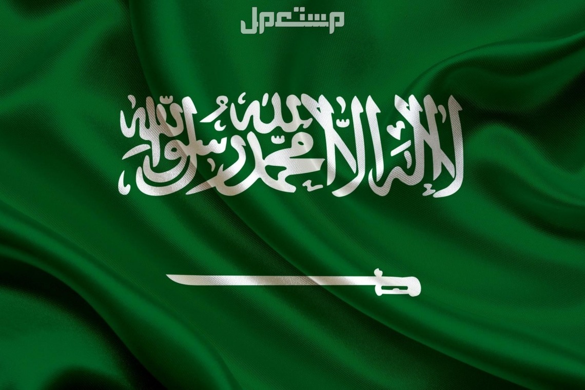 في اليوم الوطني 2024.. 10 خطوات لتعليم الأطفال حب الوطن أبرز احتفالات اليوم الوطني 2024 للأطفال
