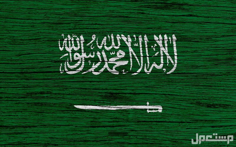 في اليوم الوطني 2024.. 10 خطوات لتعليم الأطفال حب الوطن فعاليات اليوم الوطني 2024