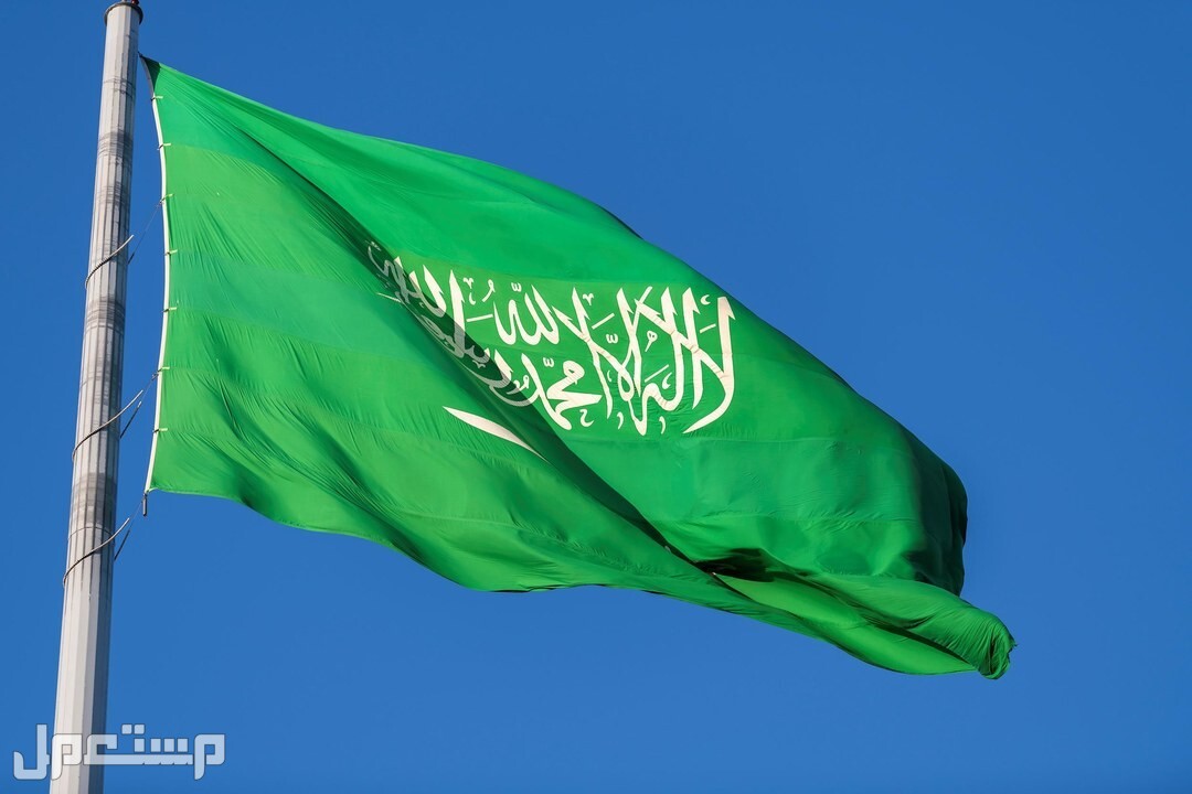 في اليوم الوطني 2024.. 10 خطوات لتعليم الأطفال حب الوطن احتفالات ذكرى توحيد المملكة العربية السعودية 94