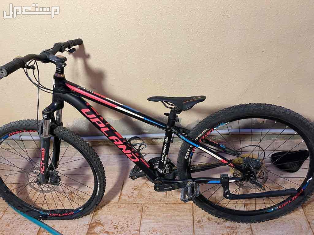 الرياض ديراب