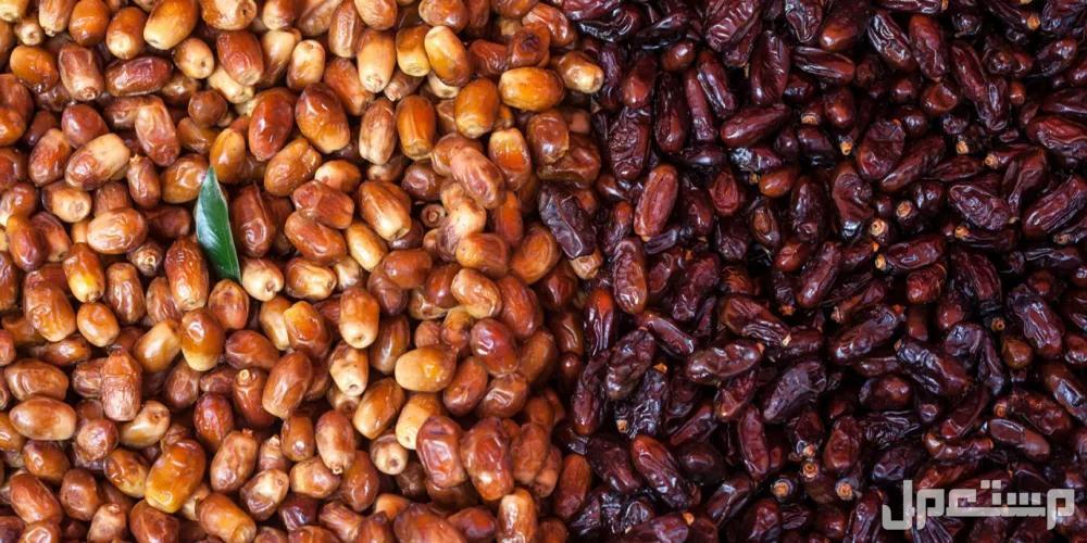 أفضل أنواع البلح بالصور وفوائده نوعين من التمر