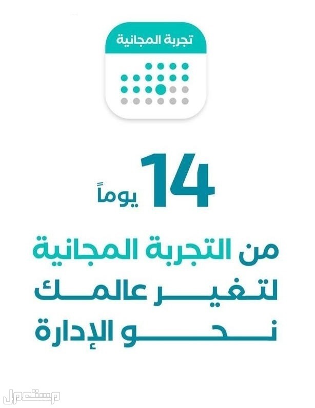 ادارة شركات حجاج الداخل