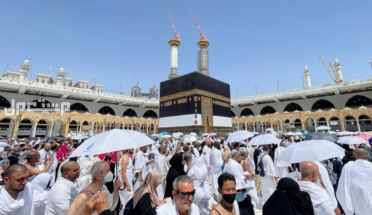 خطوات وشروط التسجيل في موسم الحج 2025 - 1446 كيف أسجل في الحج 1446؟