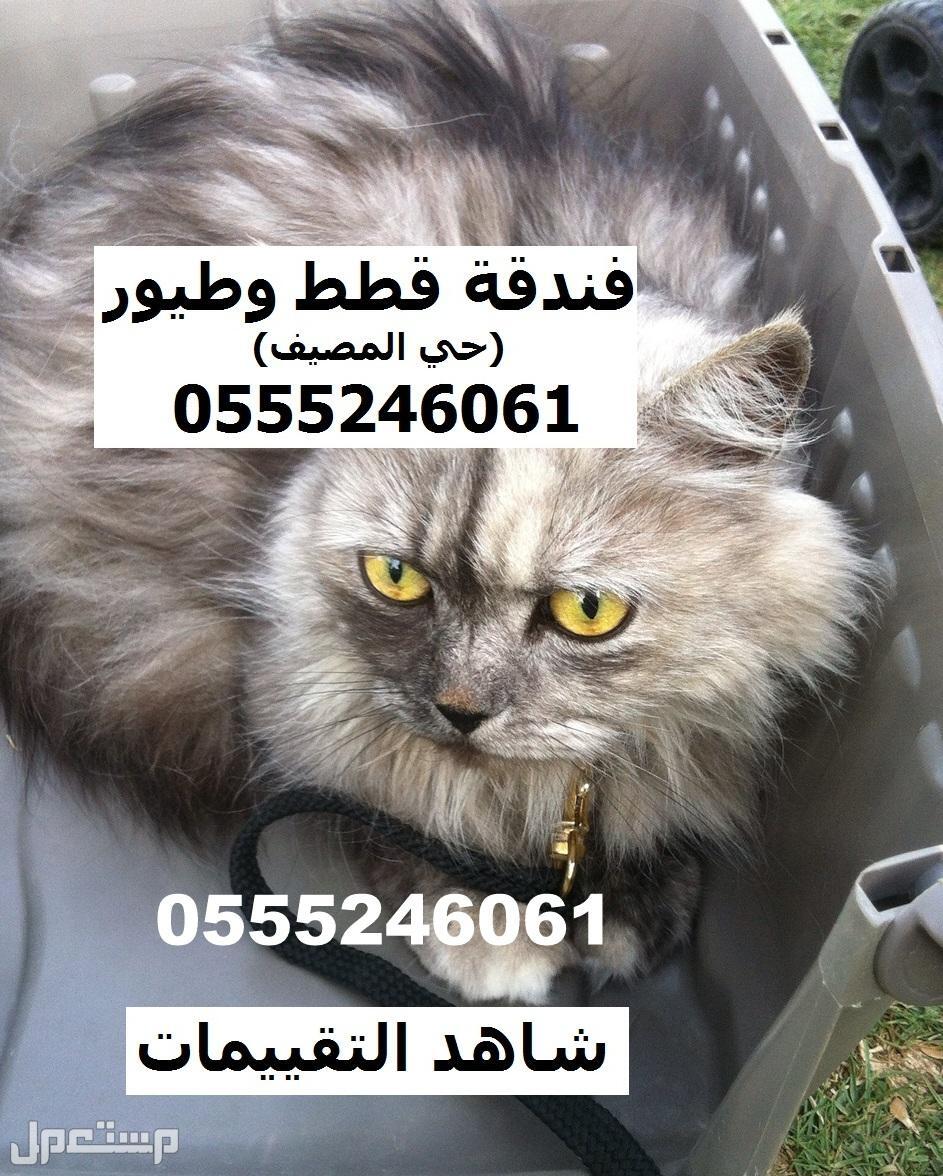 فندقة قطط وطيور وقت إجازتكم 6061 24 حي المصيف