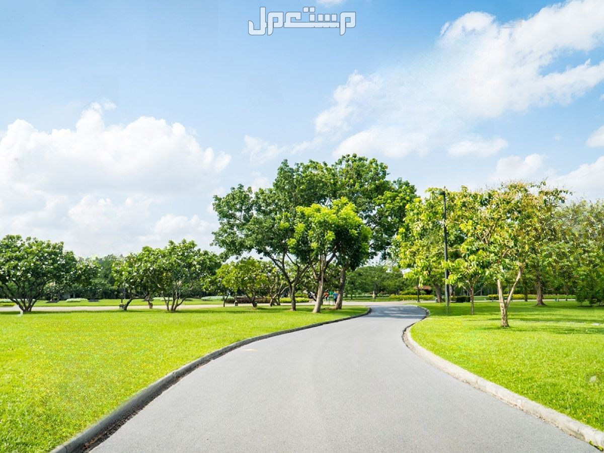 أفضل 10 حدائق بالرياض في إجازة اليوم الوطني 2024 ينصح بزيارتها حديقة النهضة