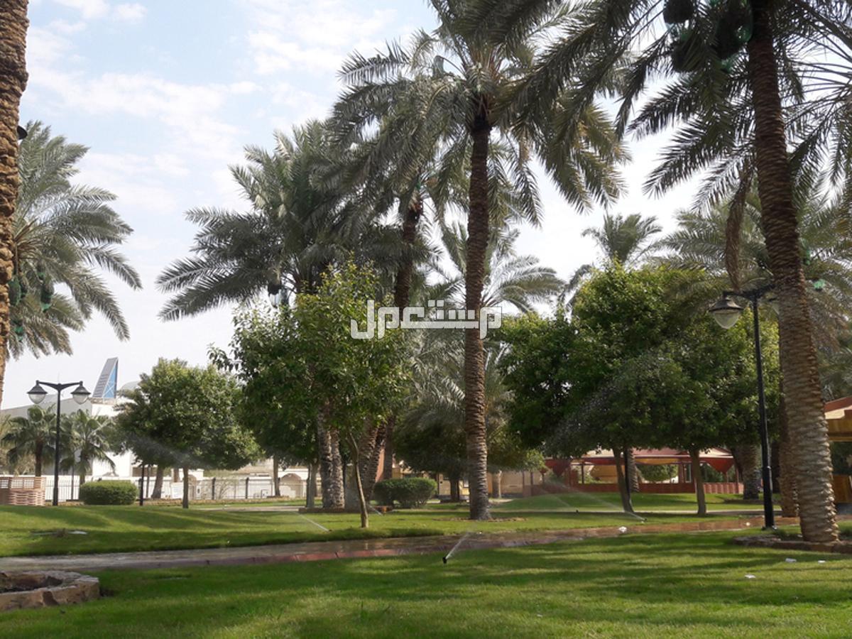 أفضل 10 حدائق بالرياض في إجازة اليوم الوطني 2024 ينصح بزيارتها حديقة العليا
