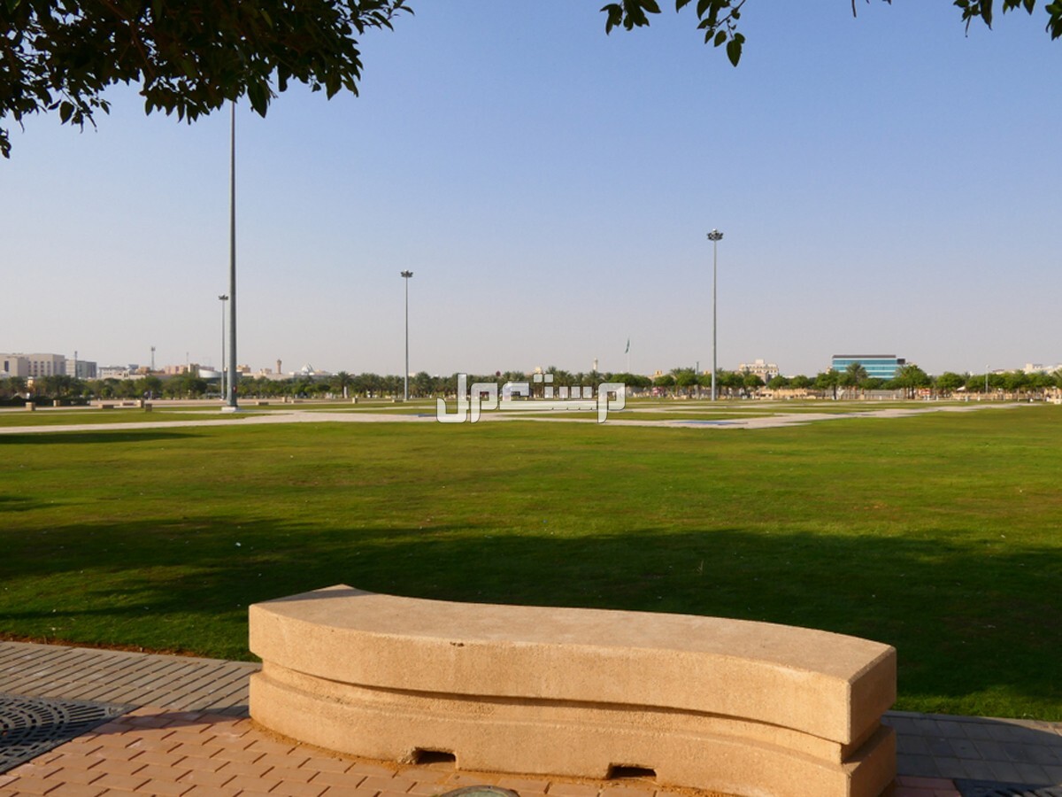 أفضل 10 حدائق بالرياض في إجازة اليوم الوطني 2024 ينصح بزيارتها منتهزه الملك عبدالله