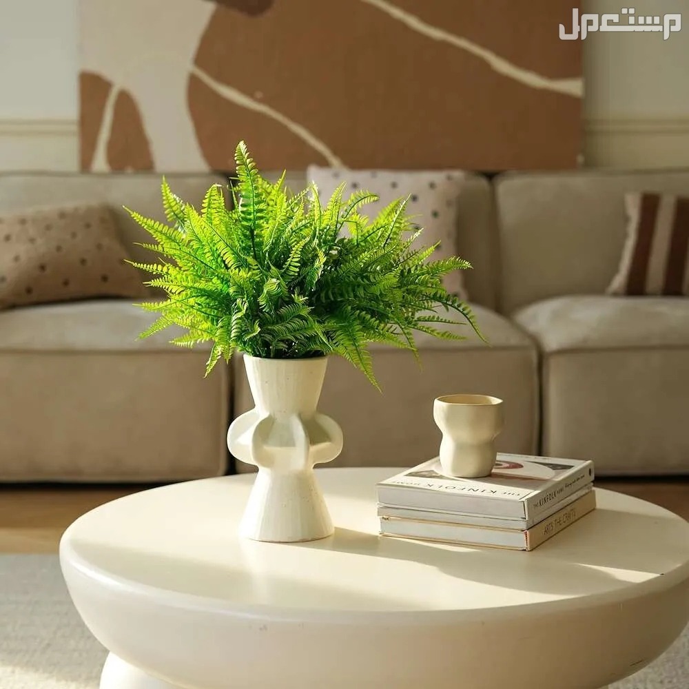 اسماء نباتات زينة داخلية 2025 لا تحتاج عناية وأهميتها في المنزل بالصور أهمية النباتات الزينة الداخلية في المنزل