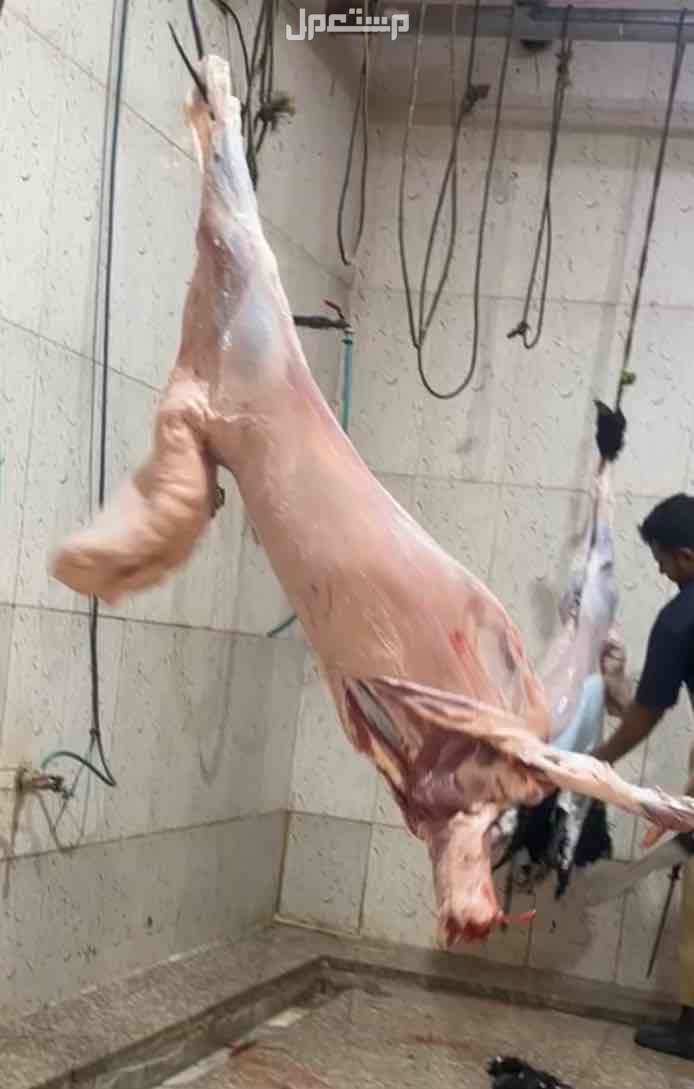ذبايح حري نعيمي تبوس