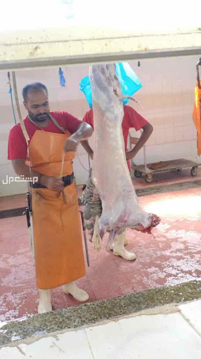 ذبايح حري نعيمي تبوس