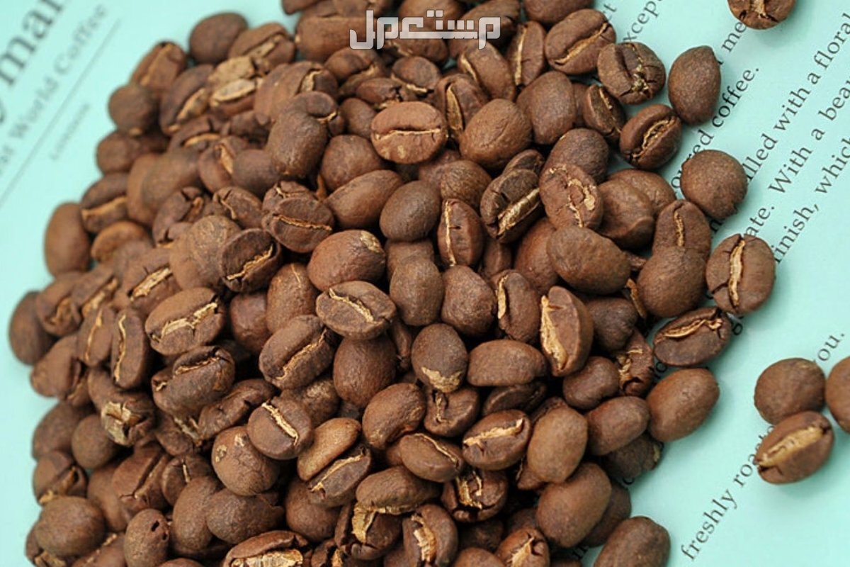 أفضل أنواع حبوب القهوة في العالم 2025 وهذه طريقة تحضيرها كيف تختار النوع المناسب من حبوب البن