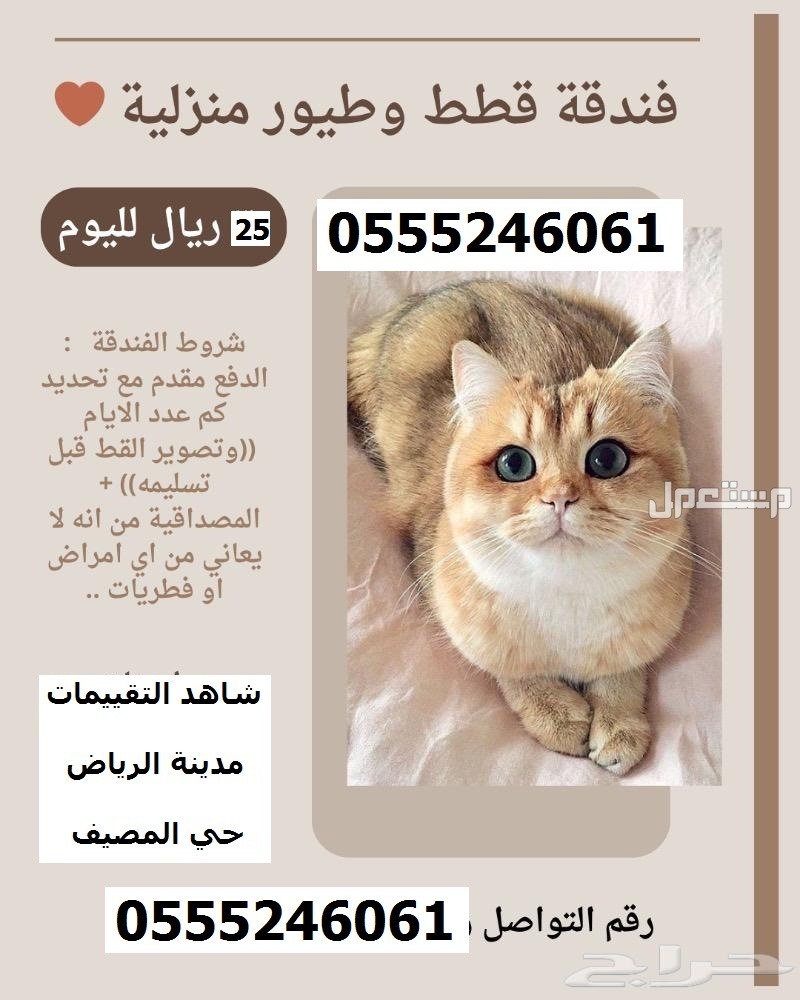فندقة الرياض قطط وطيور 6061 24 0555 في إجازتكم - شاهد التقييمات