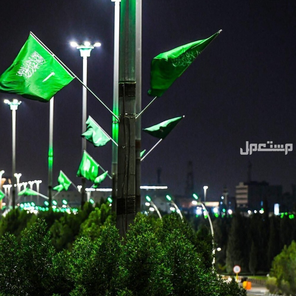 رسائل تهنئة لزملاء العمل في اليوم الوطني السعودي احتفالات اليوم الوطني السعودي