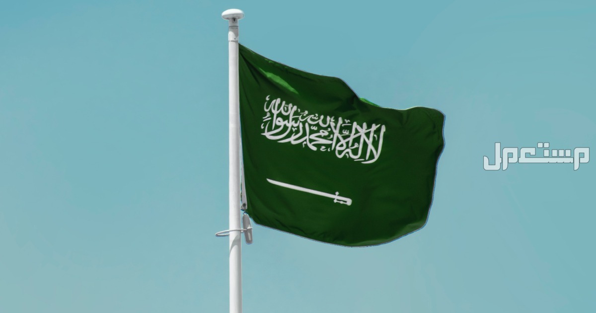 ما دلالة اللون الاخضر في العلم السعودي وتطورات شكله؟ العلم السعودي