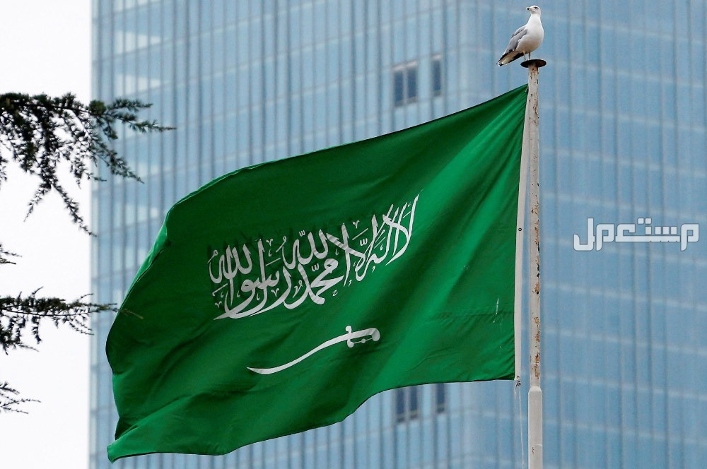 ما دلالة اللون الاخضر في العلم السعودي وتطورات شكله؟ ما دلالة اللون الاخضر في العلم السعودي وتطورات شكله؟