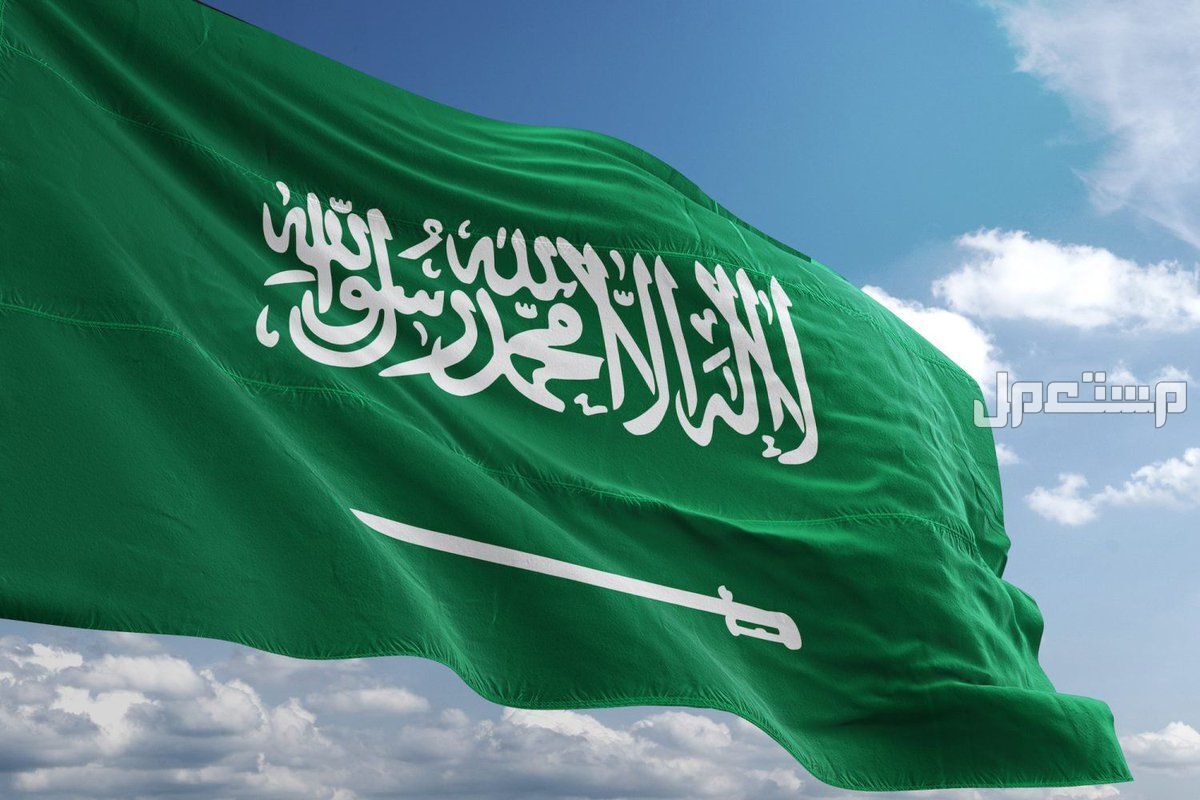 ما دلالة اللون الاخضر في العلم السعودي وتطورات شكله؟ حقائق عن العلم السعودي