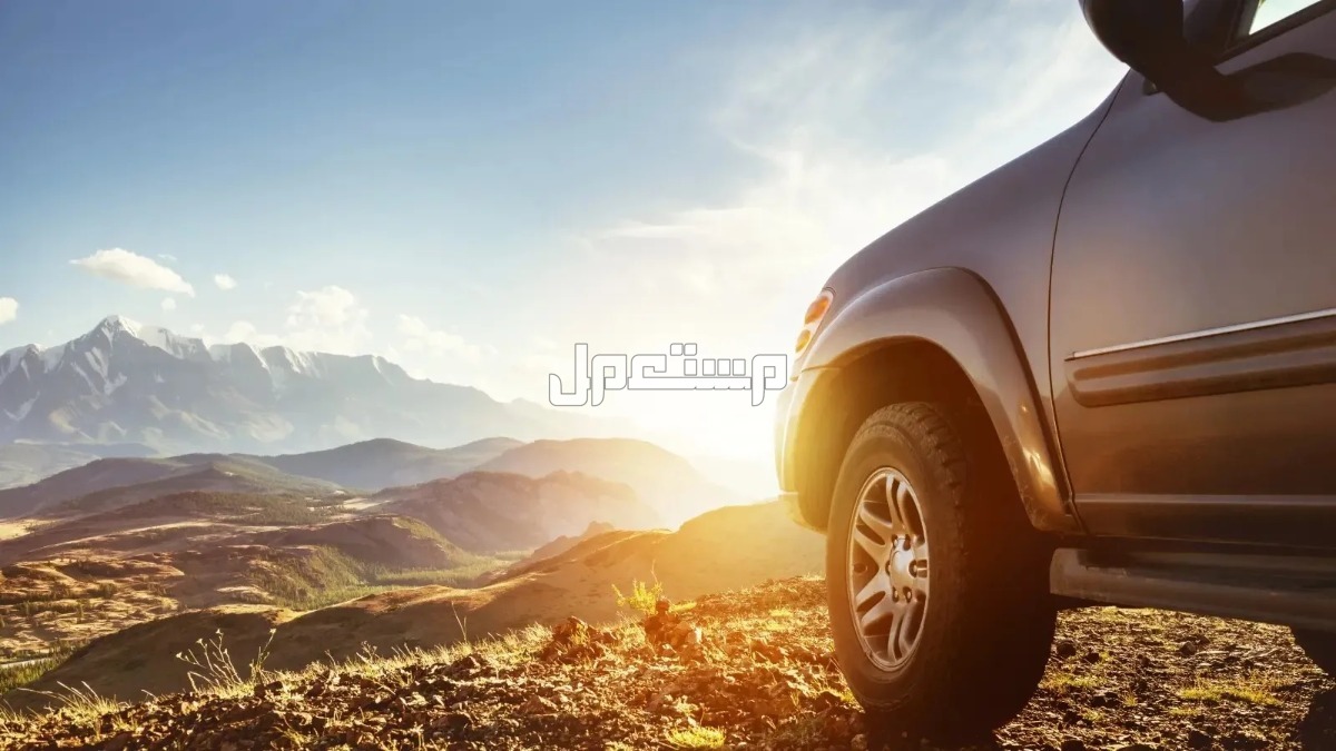 تفسير حلم السفر بالسيارة في المنام .. خير أم شر؟ تفسير حلم السفر بالسيارة في المنام