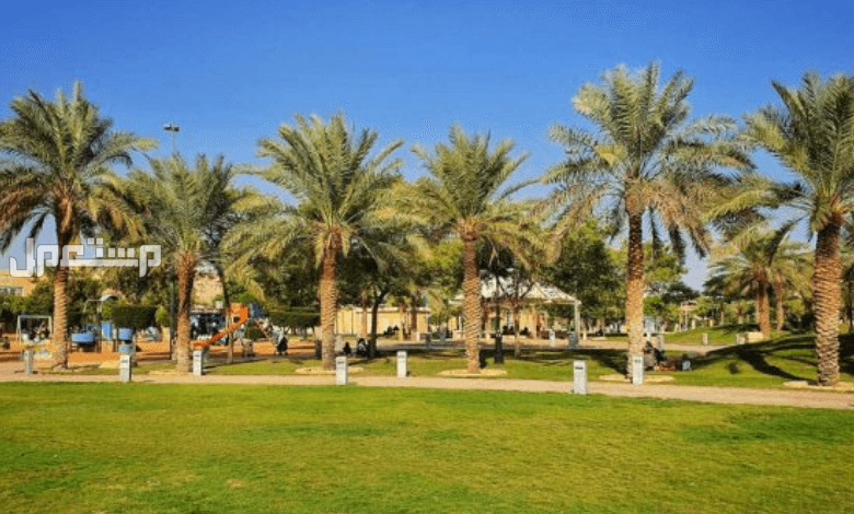 دليلك لحديقة الملك عبدالله في الرياض.. أسعار الدخول والأنشطة مساحات خضراء في حديقة الملك عبدالله