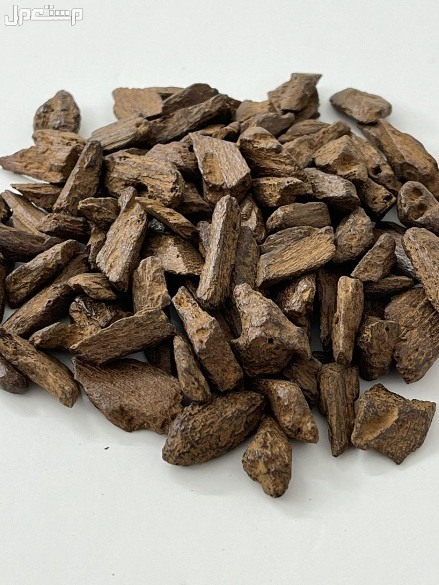 عود مروكي محسن