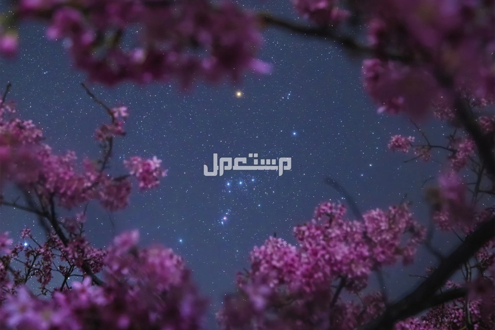 تفسير حلم النجوم في السماء رؤية النجوم في المنام للمرأة