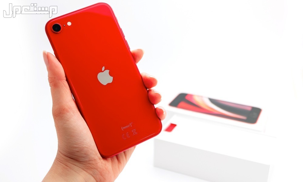 مواصفات وسعر أرخص هاتف آيفون.. مميزات iPhone SE 4