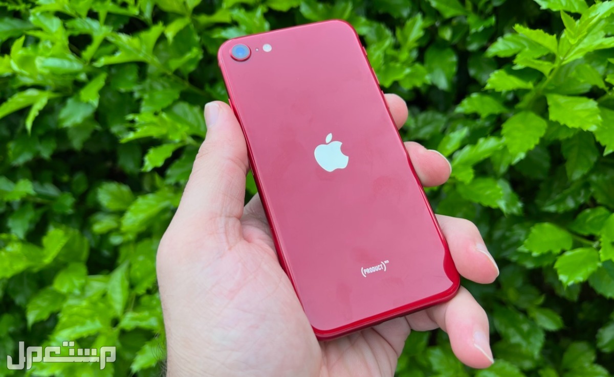 مواصفات وسعر أرخص هاتف آيفون.. مميزات iPhone SE 4