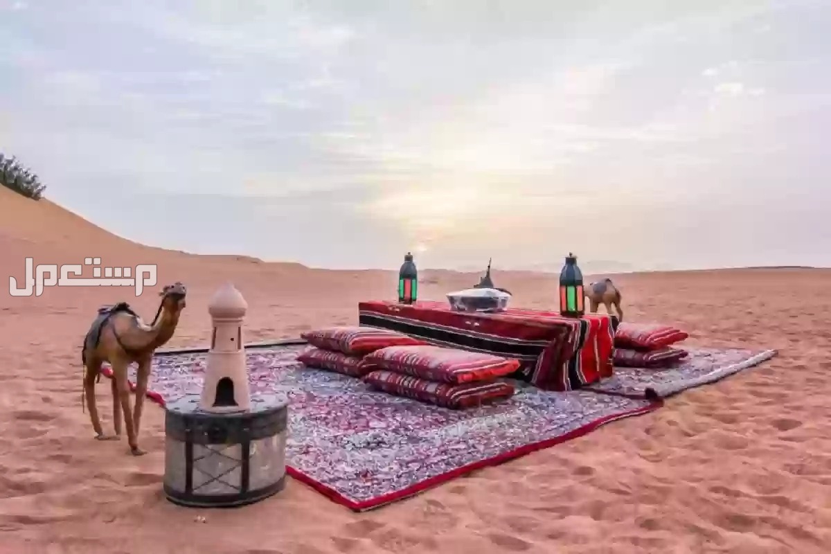 أفضل 10 رحلات برية في فصل الخريف 2024 للاستمتاع بالطبيعة أفضل رحلات برية في السعودية