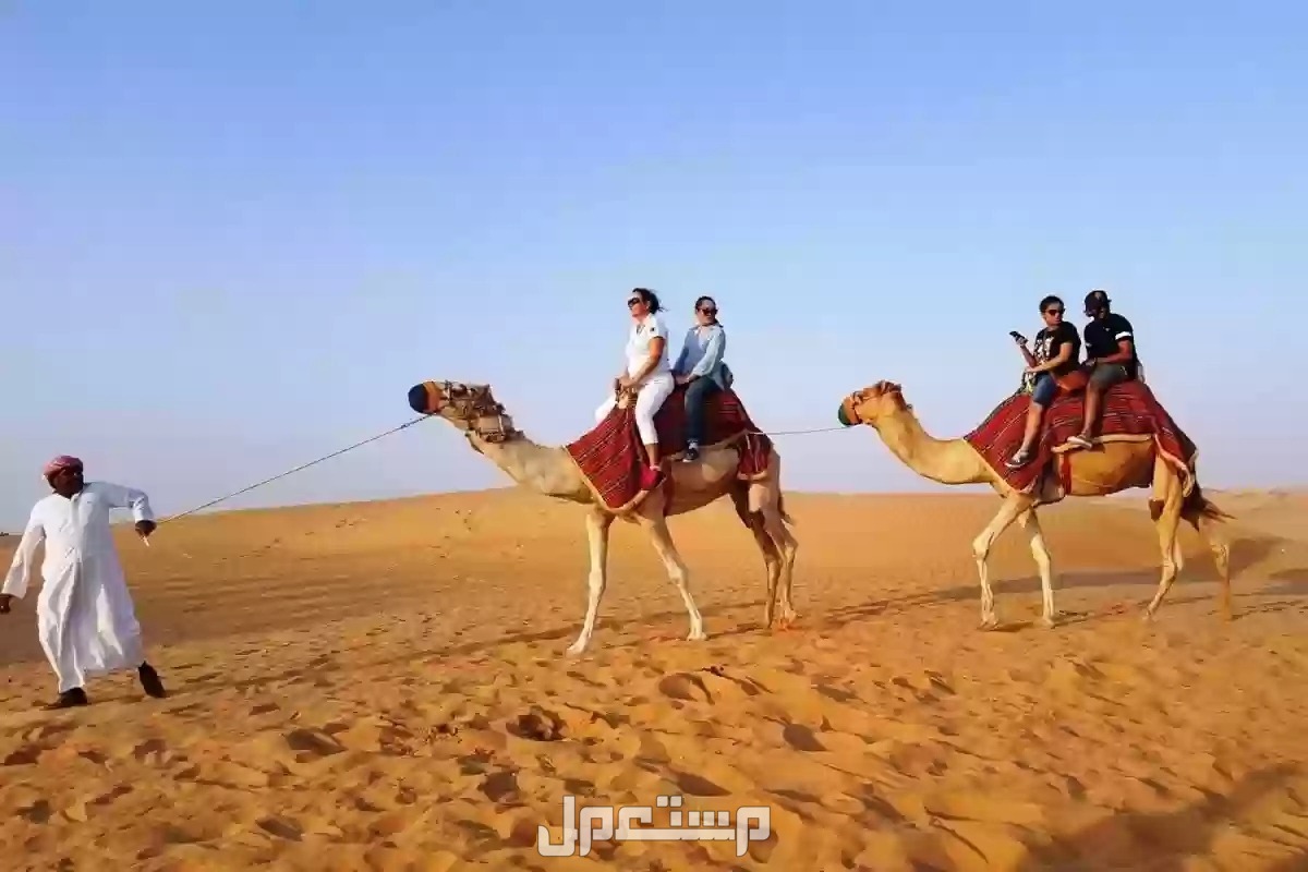 أفضل 10 رحلات برية في فصل الخريف 2024 للاستمتاع بالطبيعة أفضل رحلات برية في الخريف