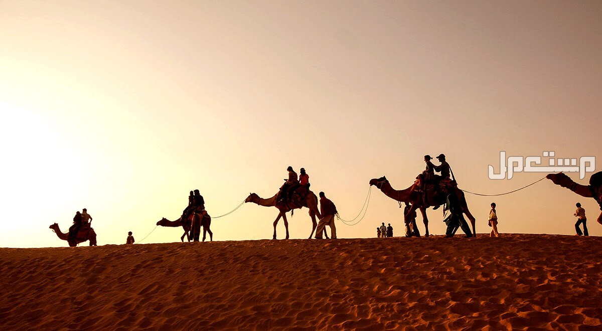 أفضل 10 رحلات برية في فصل الخريف 2024 للاستمتاع بالطبيعة أفضل رحلات برية في الخريف