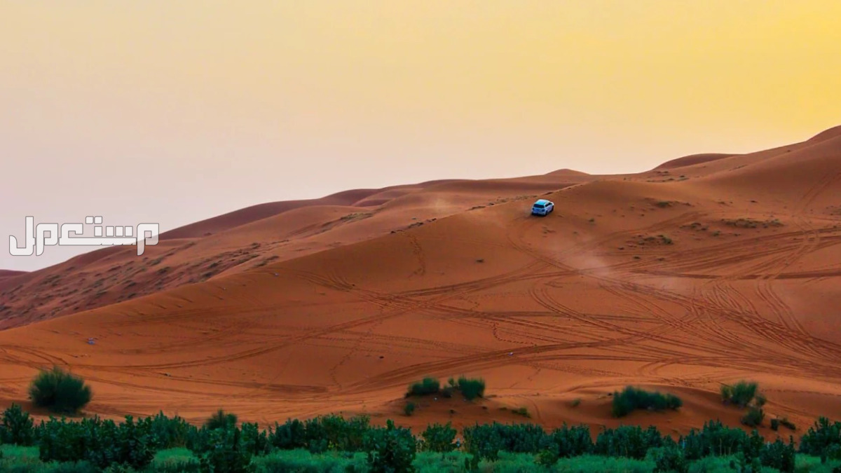 أفضل 10 رحلات برية في فصل الخريف 2024 للاستمتاع بالطبيعة أفضل رحلات برية