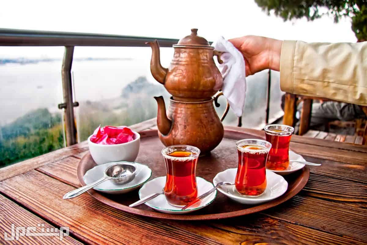 أفضل 5 أنواع شاي مع الصور ما هو أفضل شاي في السعودية؟