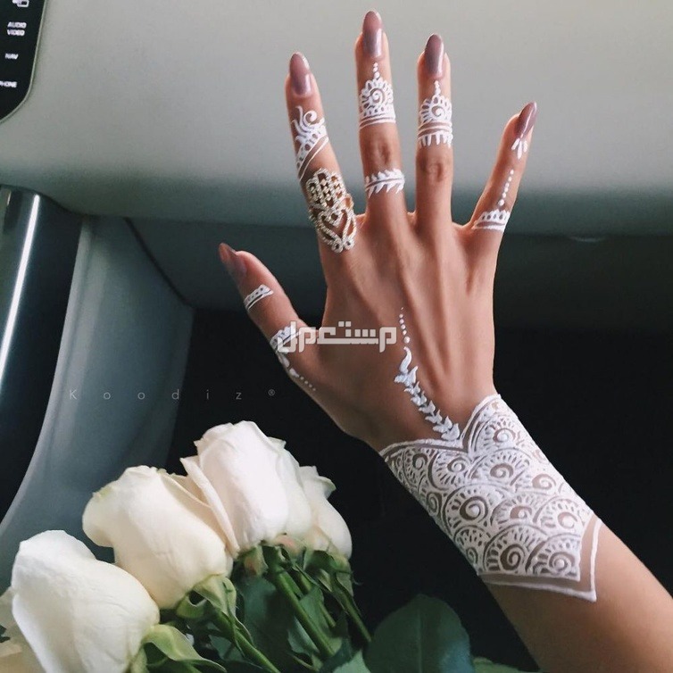 أفضل شكل حناء بيضاء وفوائدها للجسم حناء بيضاء للعروس