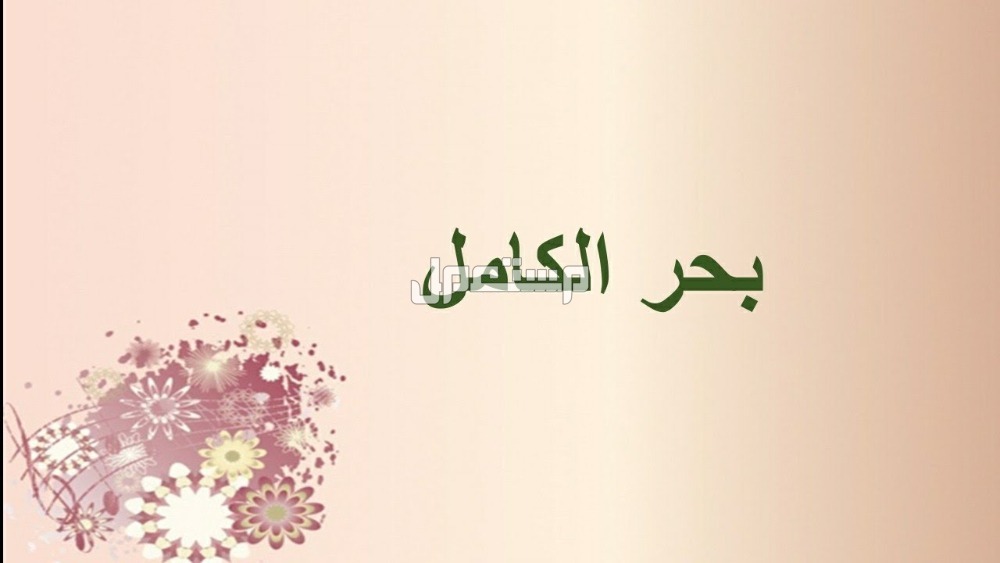 كم عدد بحور الشعر العربي وأسهل طريقة لمعرفته البحر الكامل