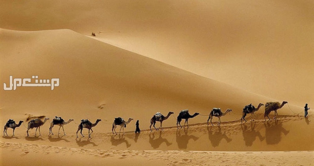 كم عدد بحور الشعر العربي وأسهل طريقة لمعرفته البحر الطويل