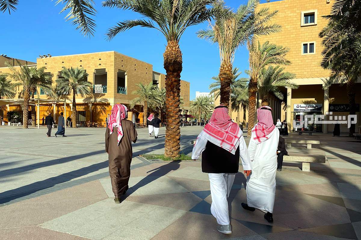 كل ماتحتاج معرفته عن مؤسسة الرياض غير الربحية