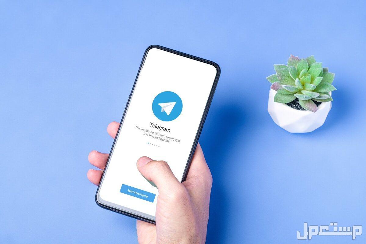كيفية تفعيل التعليقات في قناة التليجرام في 4 خطوات.. بالفيديو كيفية تفعيل التعليقات في قناة التليجرام