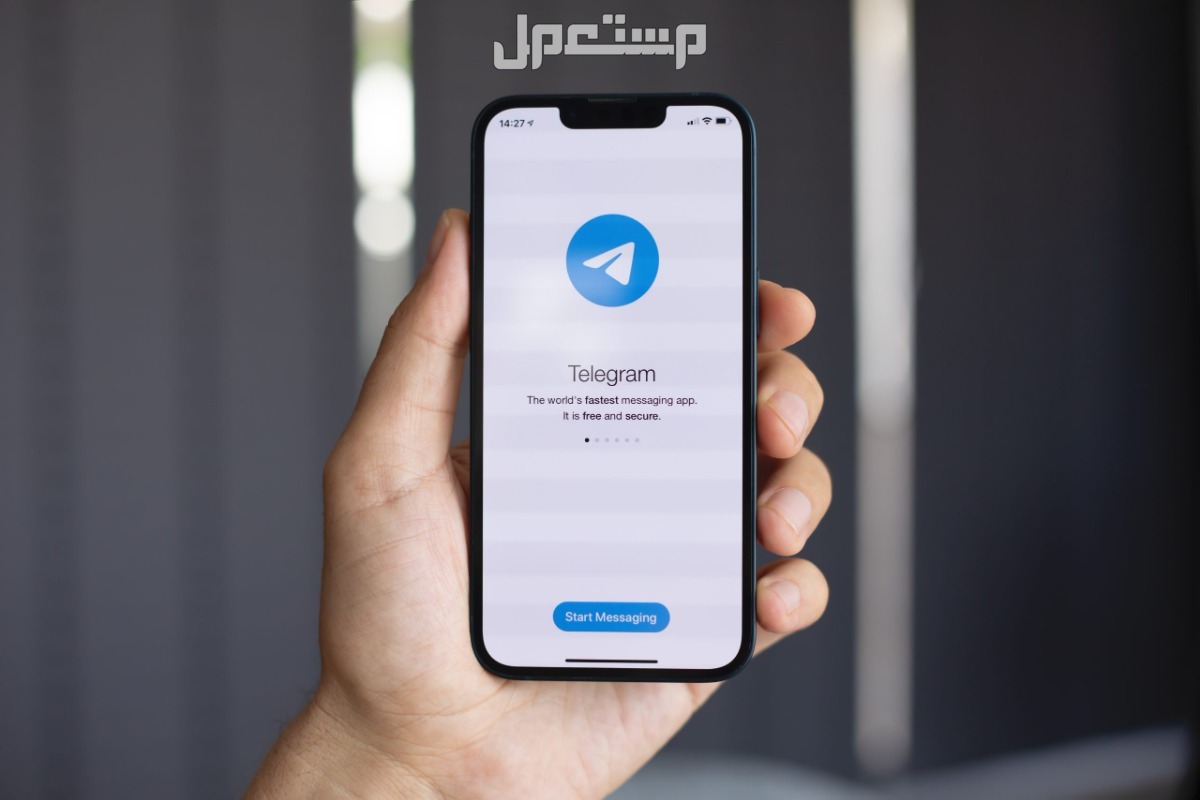 كيفية تفعيل التعليقات في قناة التليجرام في 4 خطوات.. بالفيديو أفضل بوتات تليجرام
