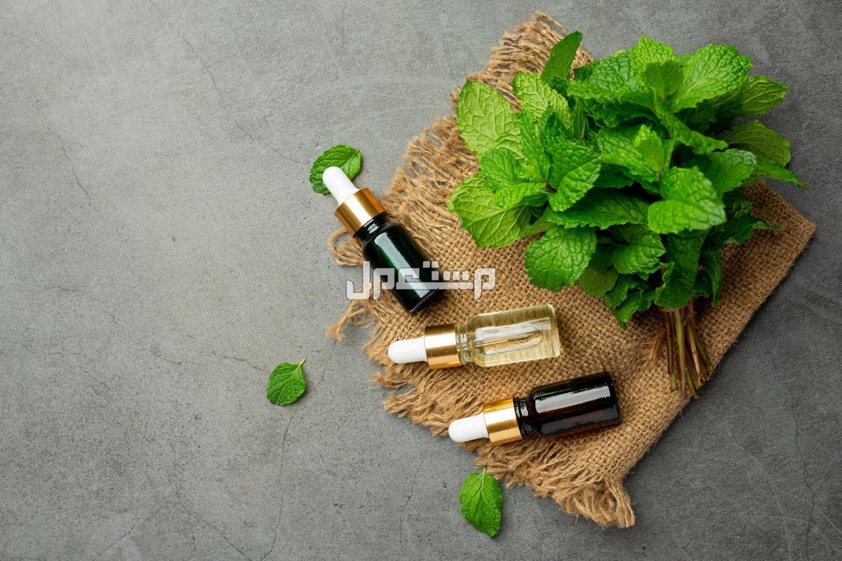 أفضل وصفات استعمال زيت النعناع للوجه أضرار زيت النعناع للوجه
