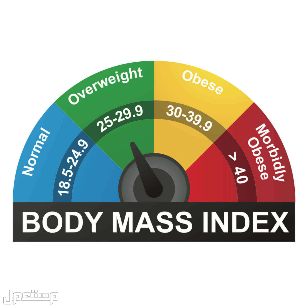 ما هي طرق حساب مقاسات جسم المرأة المثالي قياس كتلة الجسم  BMI