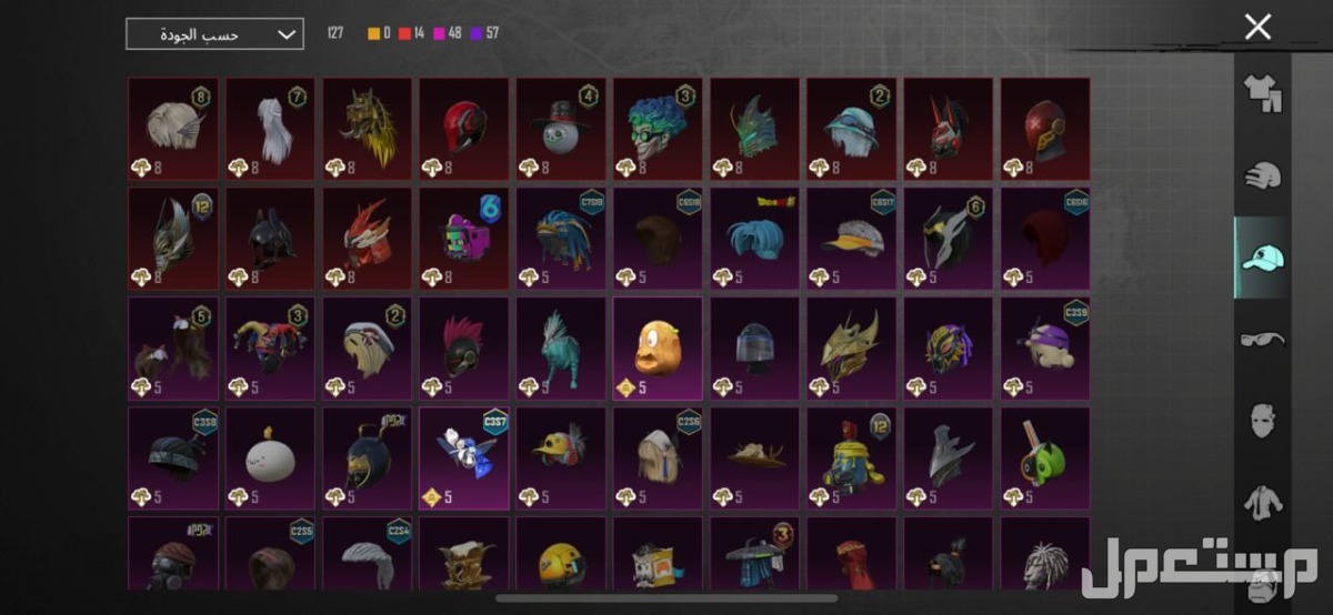 للبيع حساب ببجي