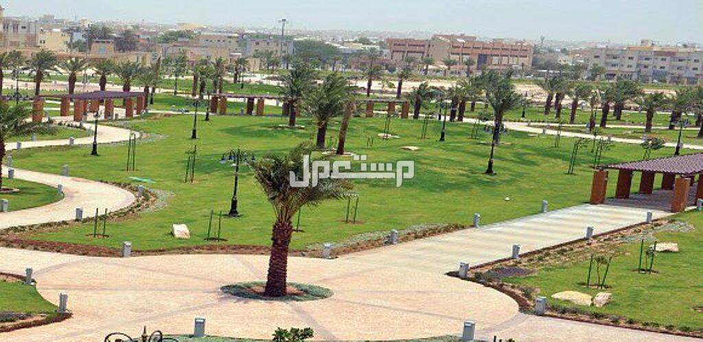 أرخص 10 وجهات سياحية في الرياض للكبار والصغار 2025 منتزه الملك عبدالله