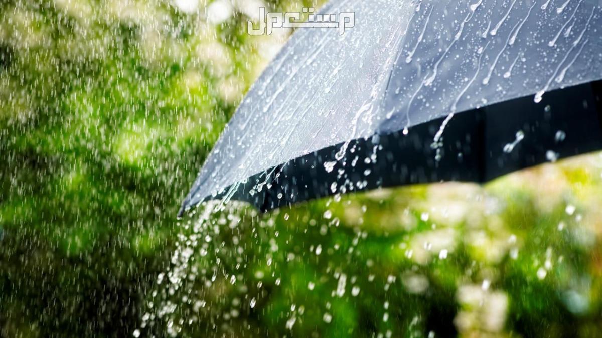 أجمل دعاء مطر قصير.. فضله وأهميته وأوقات استجابته الدعاء وقت نزول المطر