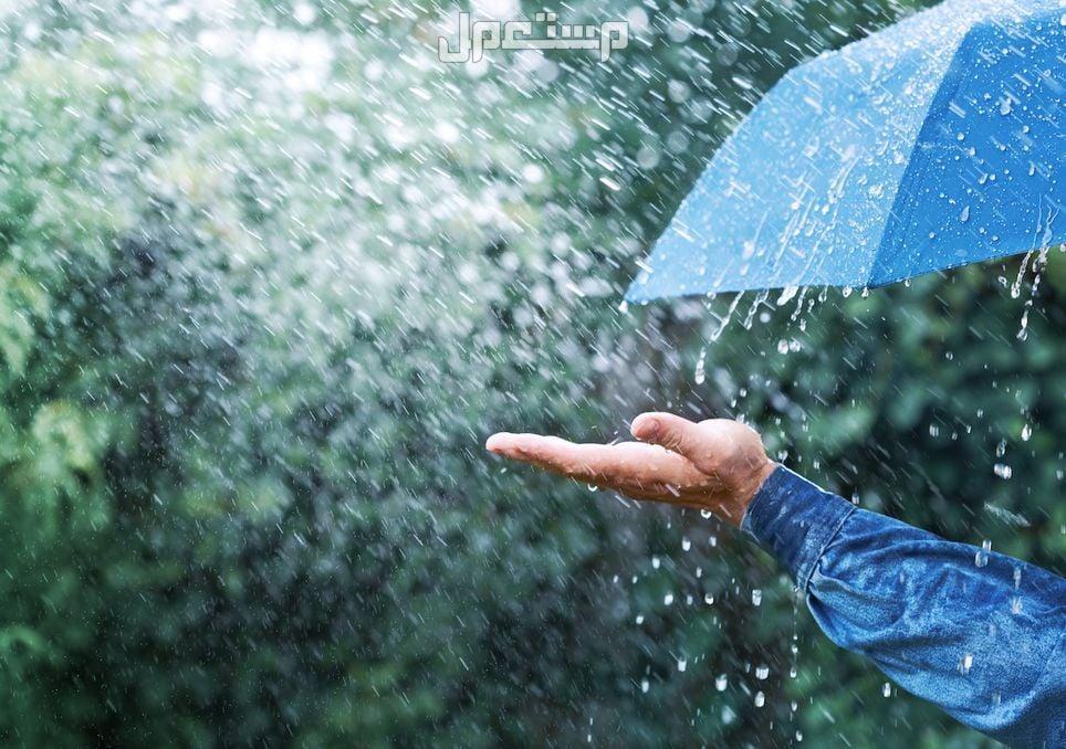 أجمل دعاء مطر قصير.. فضله وأهميته وأوقات استجابته الدعاء أثناء نزول المطر