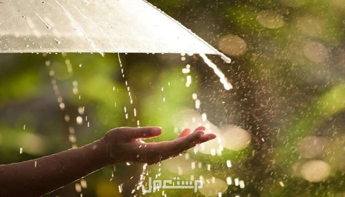 أجمل دعاء مطر قصير.. فضله وأهميته وأوقات استجابته دعاء للمطر قصير