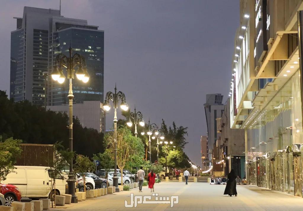 ما هي أنواع العقارات في الرياض.. مميزات وعيوب احد شوارع الرياض