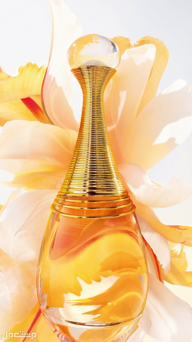 أجمل خلطات عطور​ التركيب 2025 ما هي أجمل رائحة عطر للنساء؟