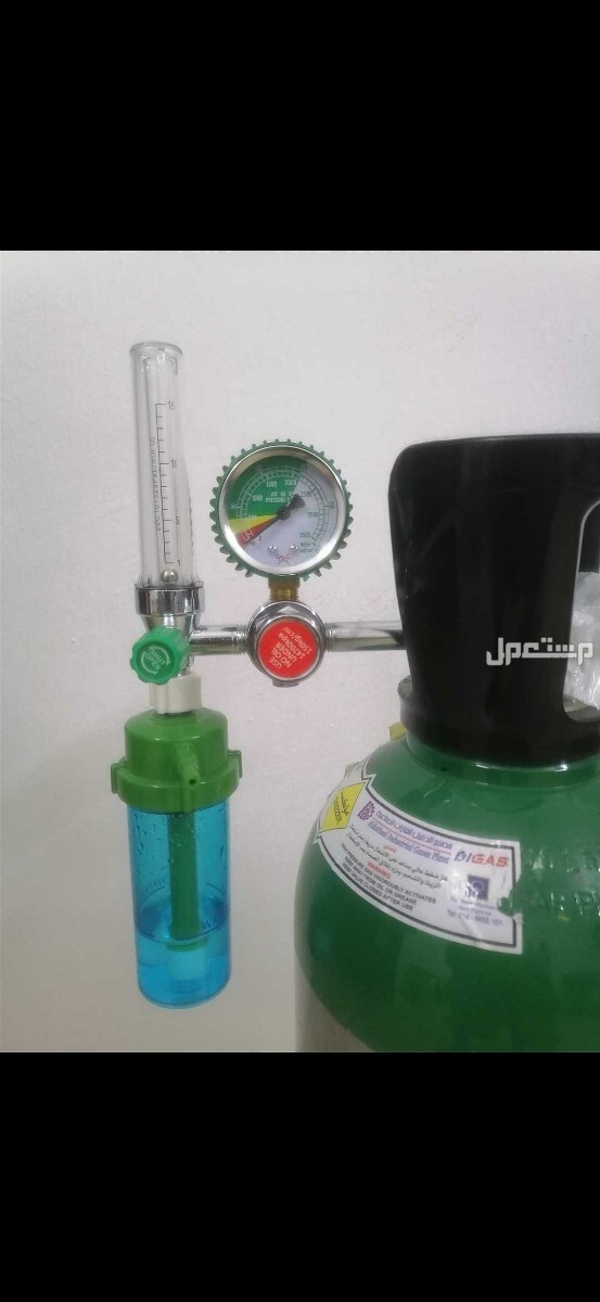 المدينة المنورة